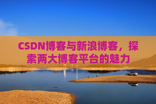 CSDN博客与新浪博客，探索两大博客平台的魅力